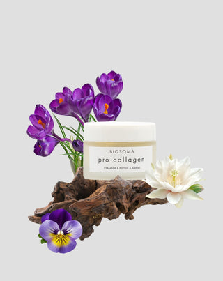 Ανυψωτική κρέμα προσώπου PRO COLLAGEN Ceramides & Peptides Biosoma - 2