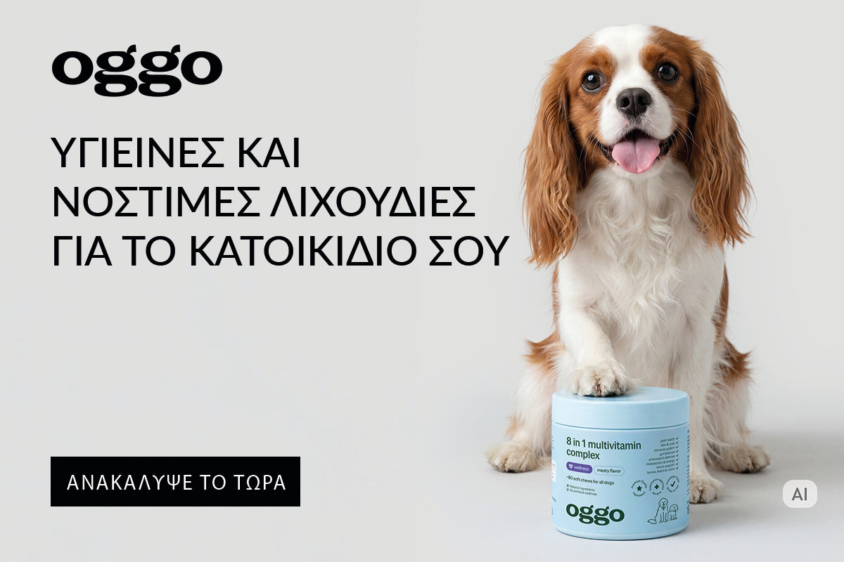 Ιερή αιωνιότητα