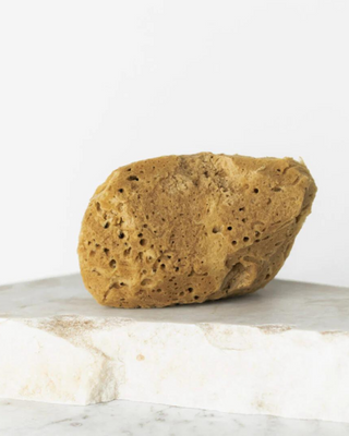 Φυσικό θαλάσσιο σφουγγάρι καφέ 9,5 cm 02F υποαλλεργικό και αντιβακτηριακό Hhuumm - 2